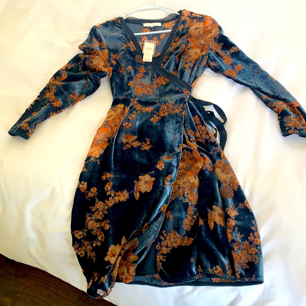 Velvet Anthropologie dress